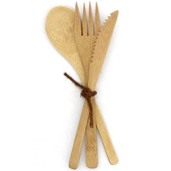 Biome Bamboo Cutlery Set with Case - 3 piece