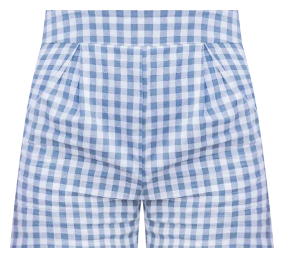 Conscious Reason Blue Gingham Shorts FINAL SALE